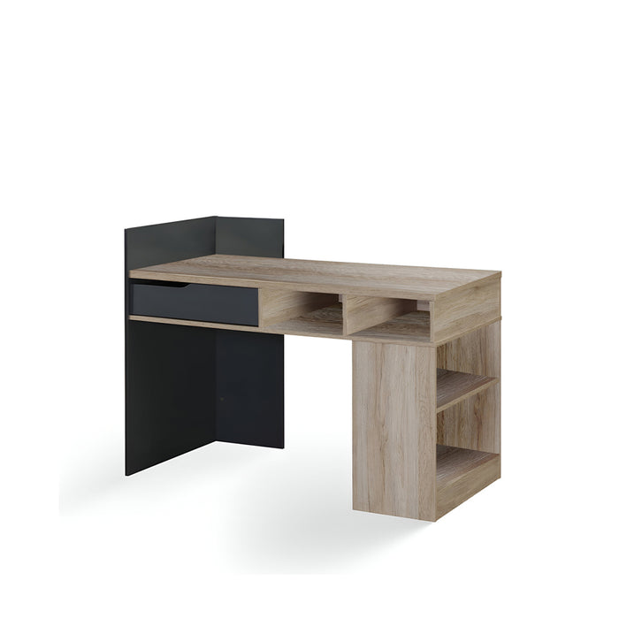 Ohio Computer Study Desk